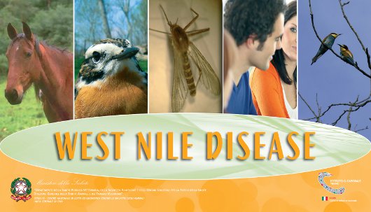 West Nile Disease
