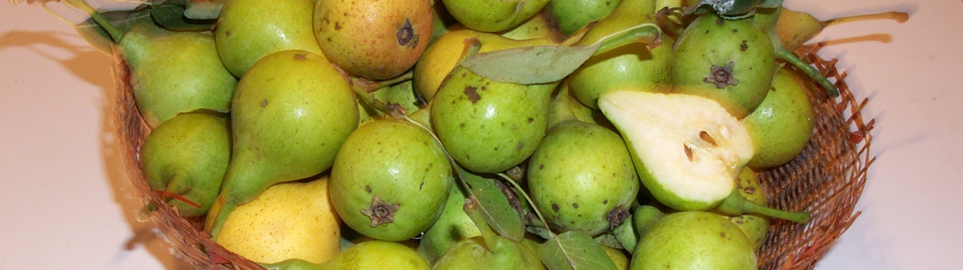 Visualizza la notizia: UNU PAT DE SA PROVÌNTZIA: SA PIRA CAMUSINA DE BONÀRCADU