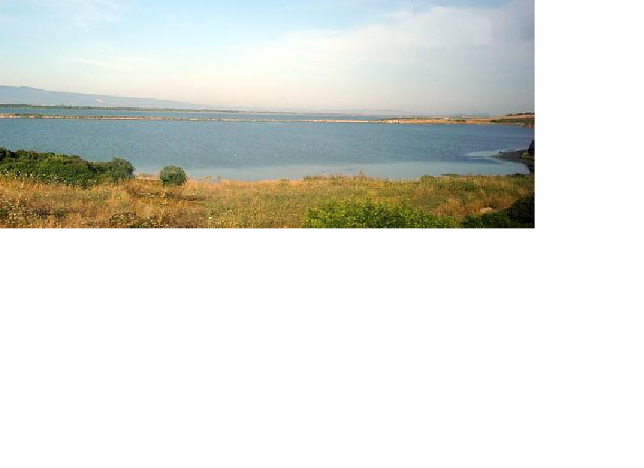 Visualizza la notizia: UNU PAT DE SA PROVÌNTZIA – COTZA E CÒCIULA BIA DE SU GOLFU DE ARISTANIS