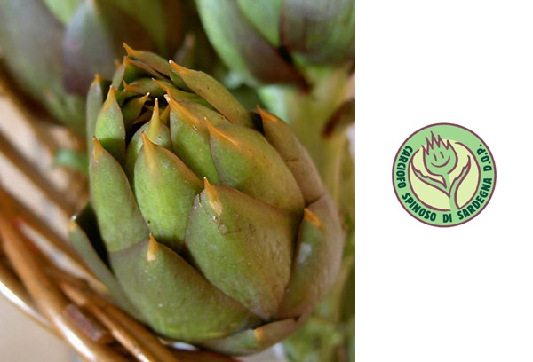 Visualizza la notizia: UNU DOP DE SA PROVÌNTZIA: SA CANCIOFA SPINOSA DE SARDIGNA