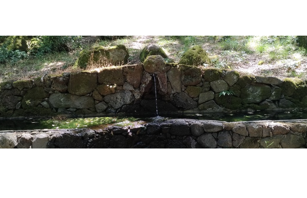 Visualizza la notizia: ÀREAS NATURALÌSTICAS IN PROVÌNTZIA: SA MITZA SU CRUCUI