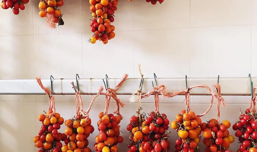 Visualizza la notizia: UNU PAT DE SA PROVÌNTZIA – TAMÀTIGA DE APASIBIS